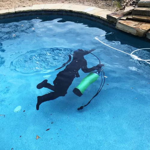 leak detection service leak detection service