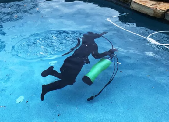 leak detection service leak detection service