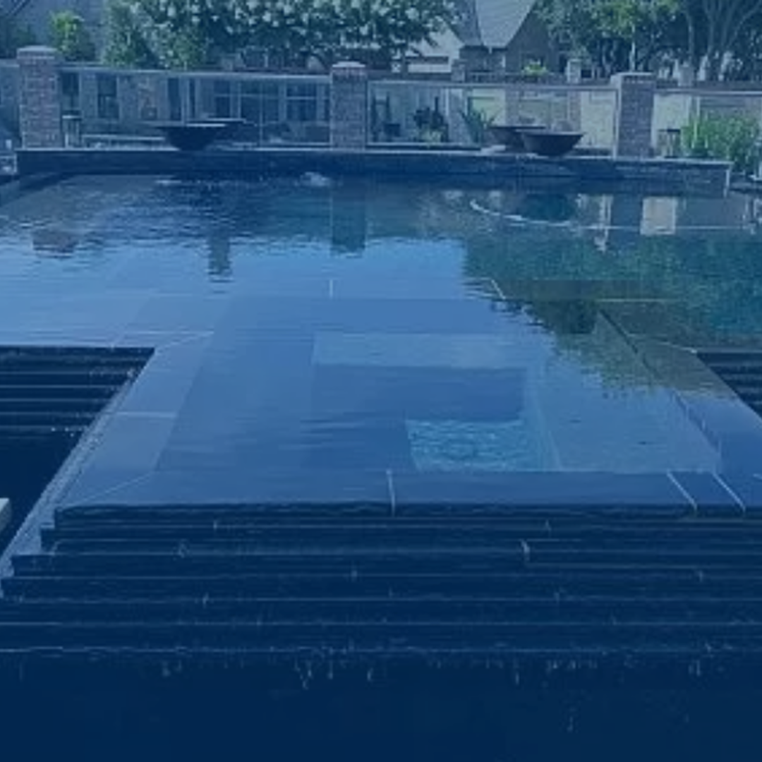 theEvolutionGurantee_newImg